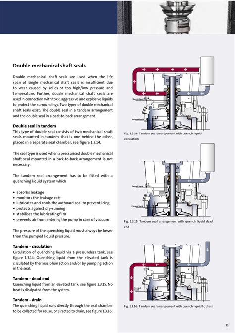 denis papin centrifugal pump|grundfos pump handbook.